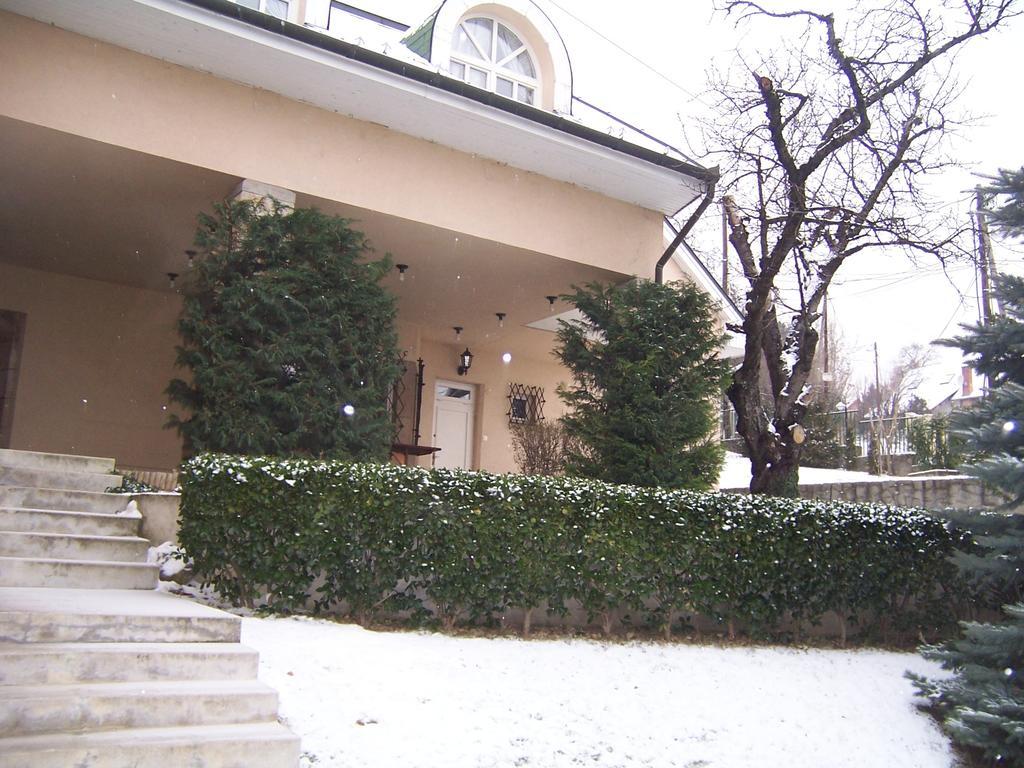 Villa Szekely Leányfalu Exteriör bild